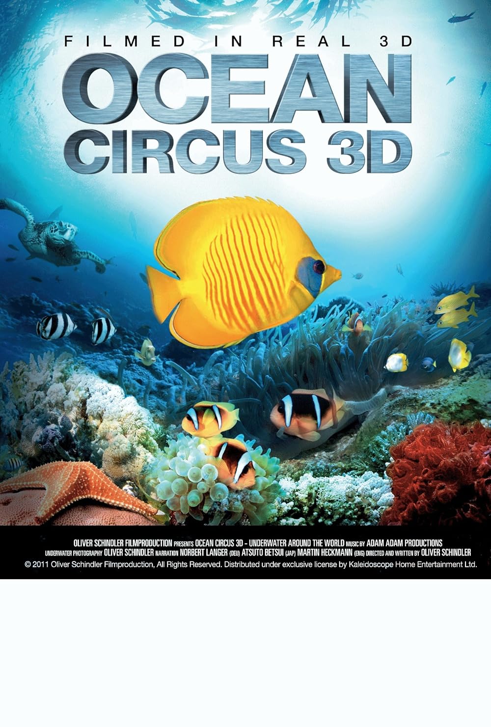 Ocean Circus 3D - Underwater Around the World 