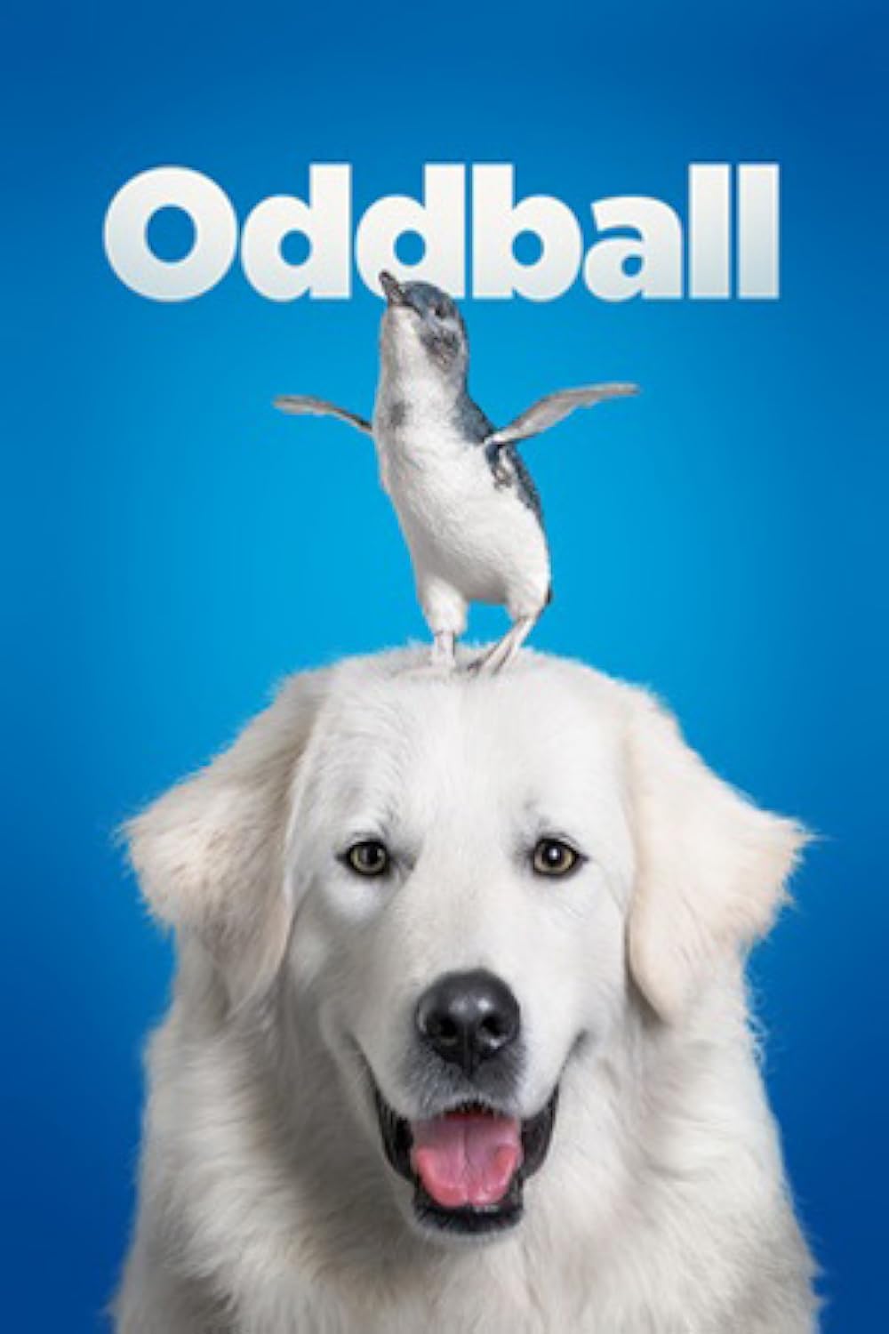 Oddball 