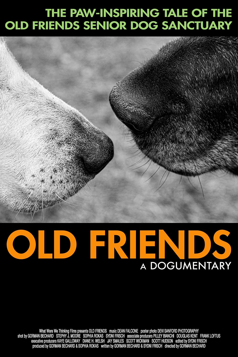Old Friends: A Dogumentary 