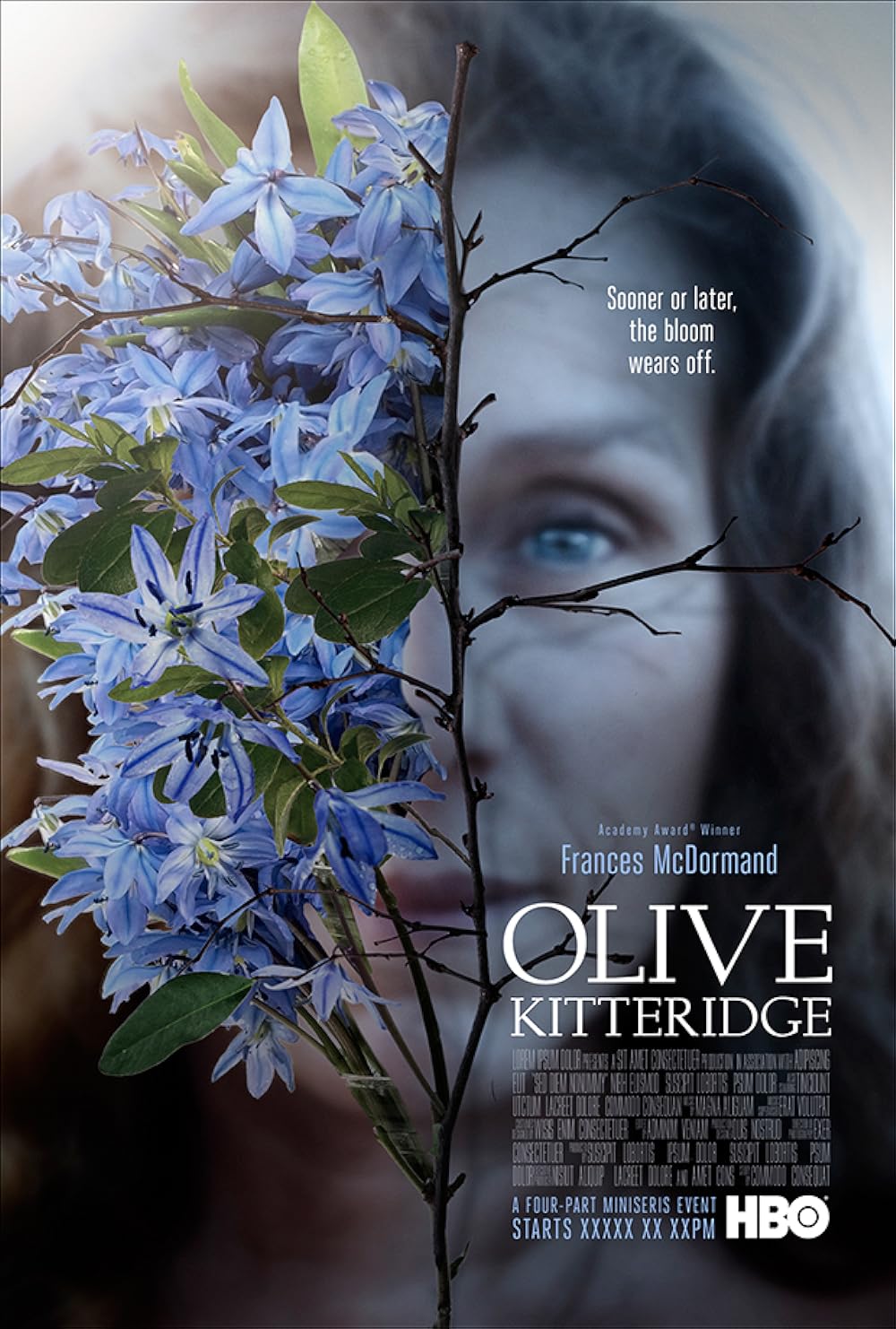 Olive Kitteridge 