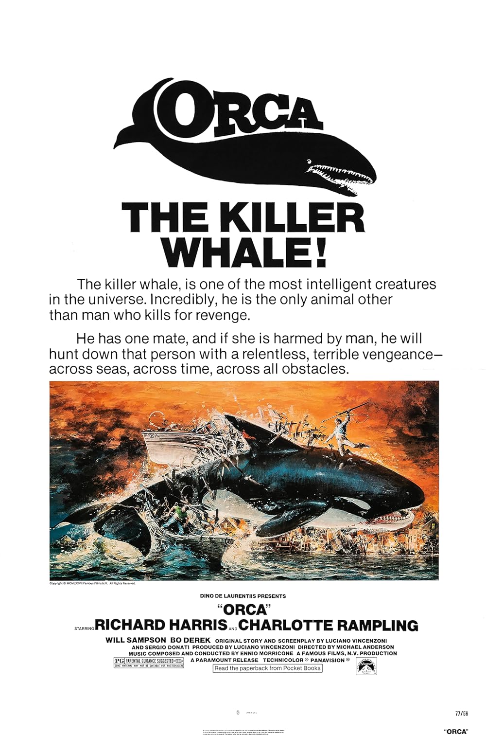 Orca 