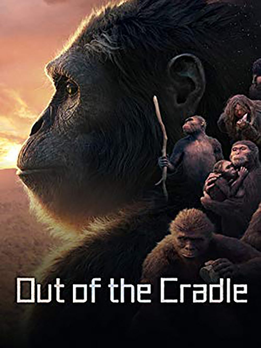 Out of the Cradle 