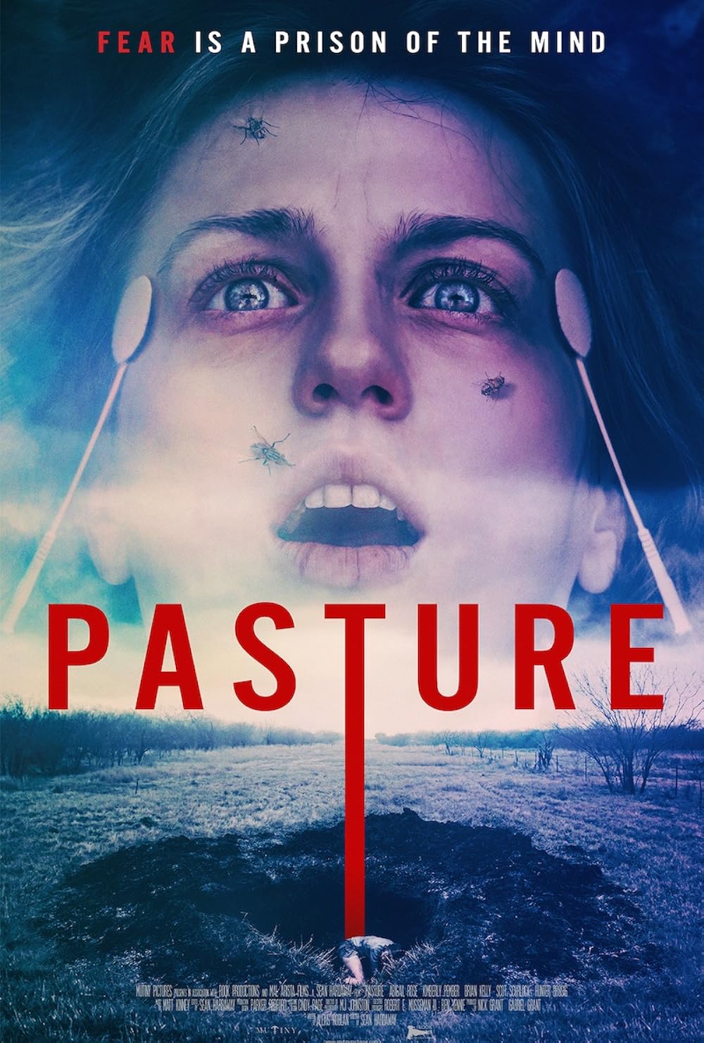 Pasture 