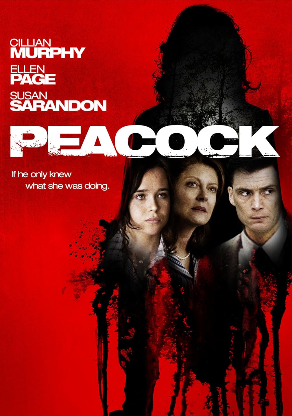 Peacock 