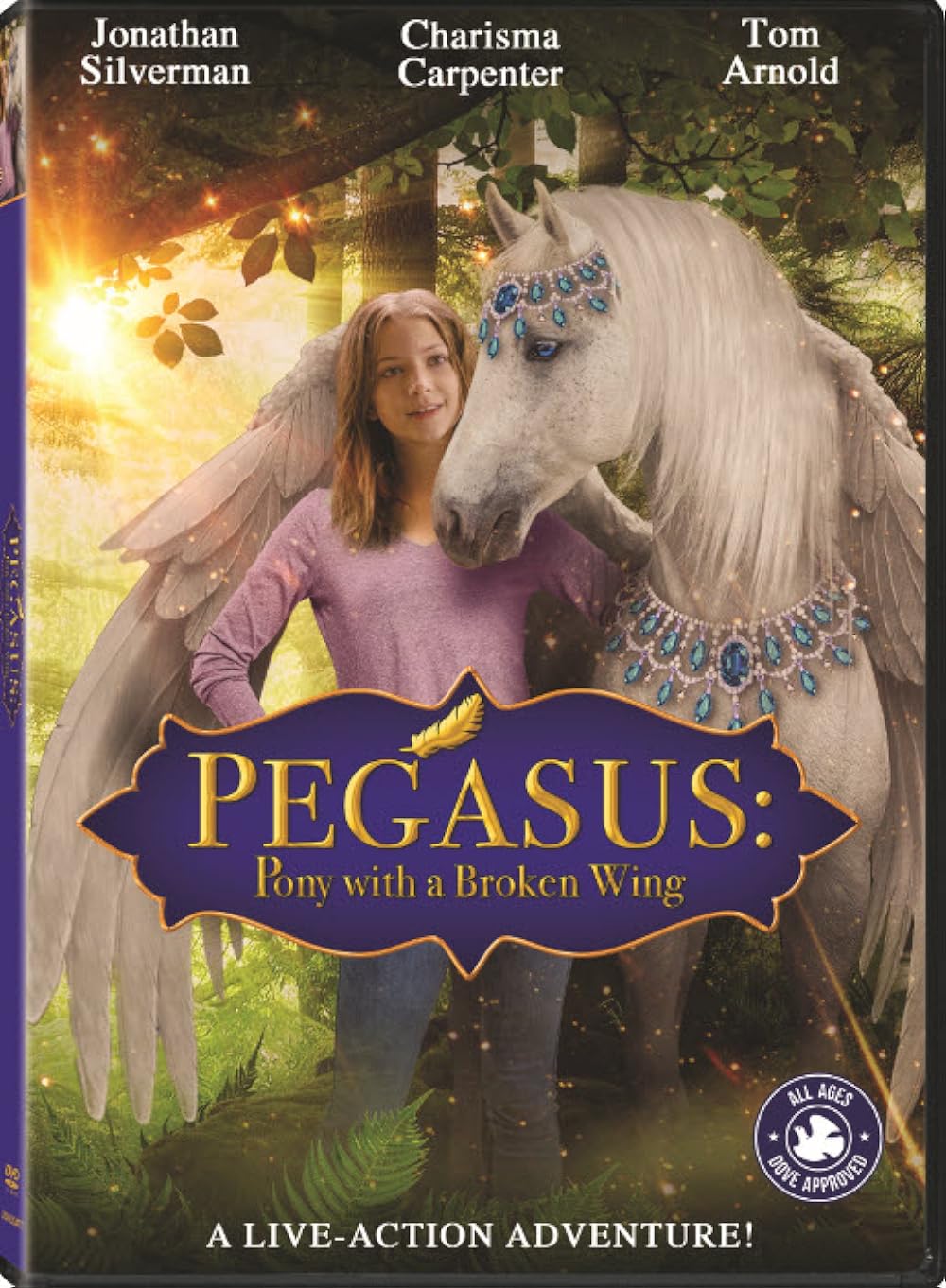 Pegasus: Pony with a Broken Wing 