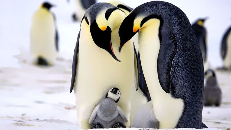 Penguins - Spy in the Huddle (2013)