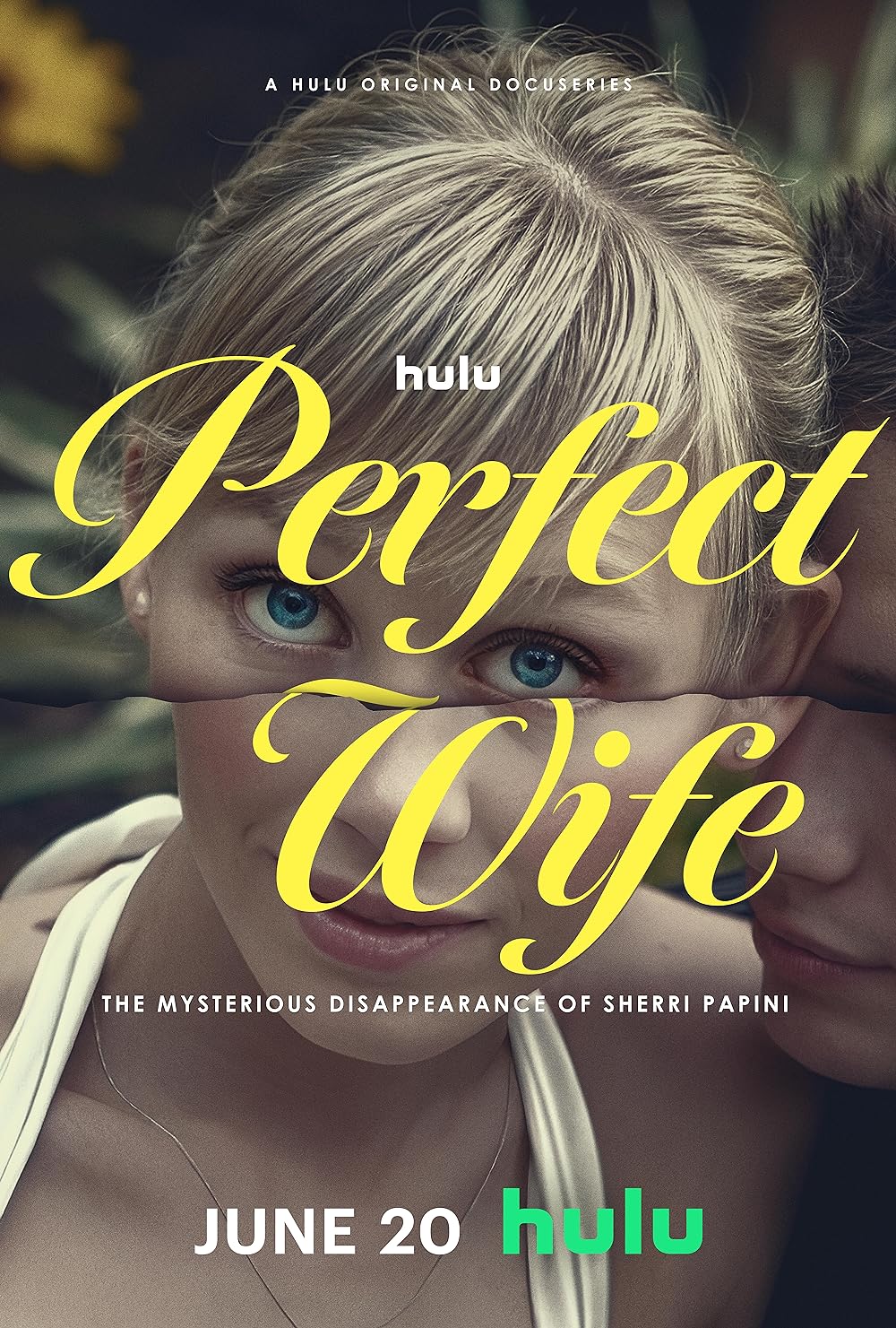 Perfect Wife: The Mysterious Disappearance of Sherri Papini 