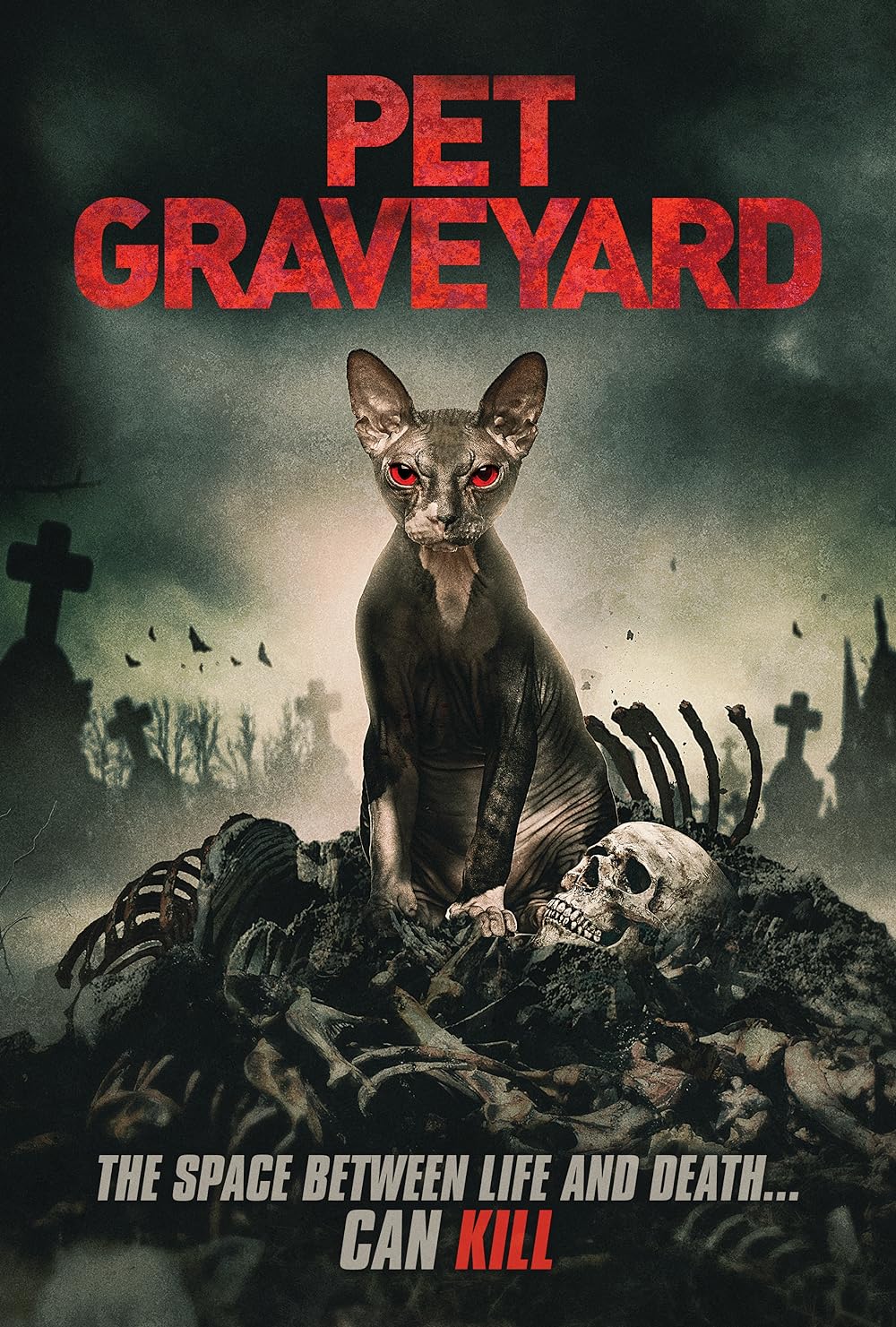 Pet Graveyard 
