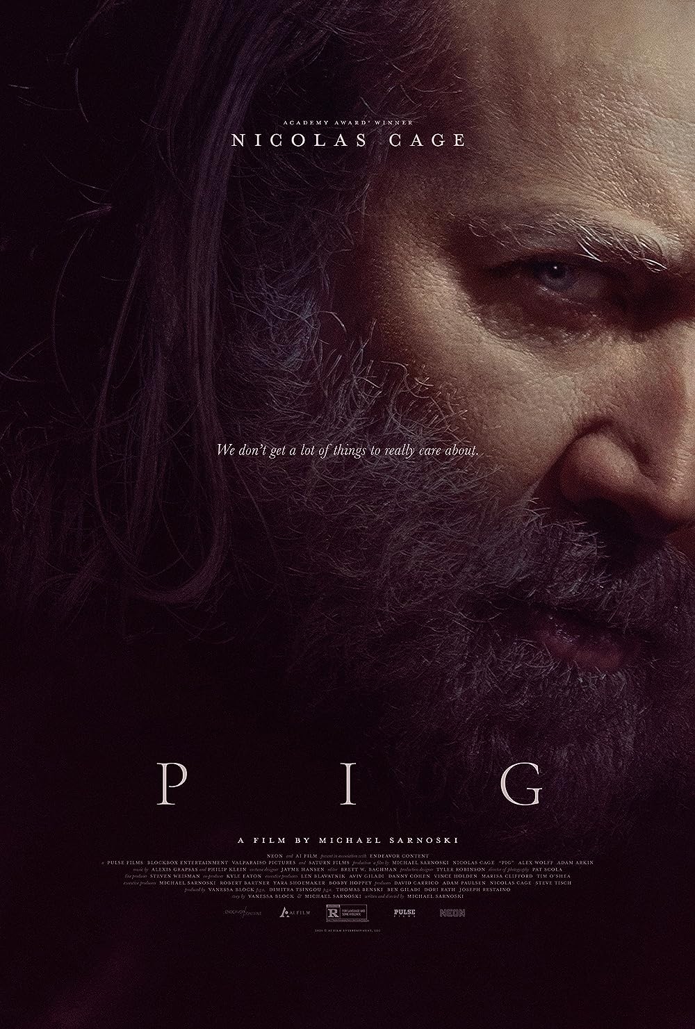 Pig 