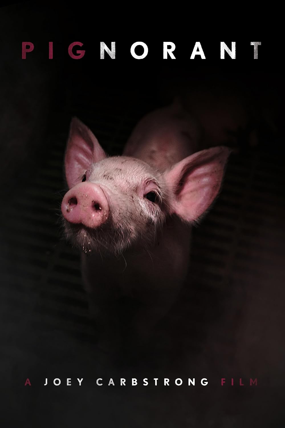 Pignorant 