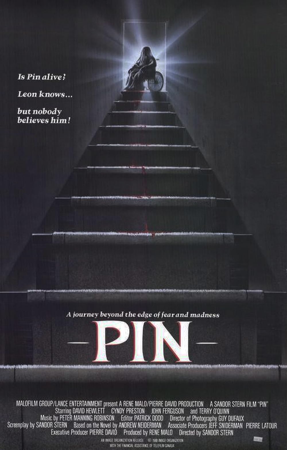 Pin 