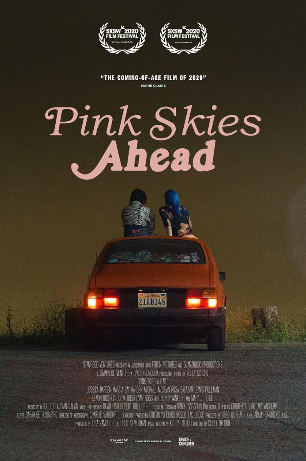 Pink Skies Ahead 
