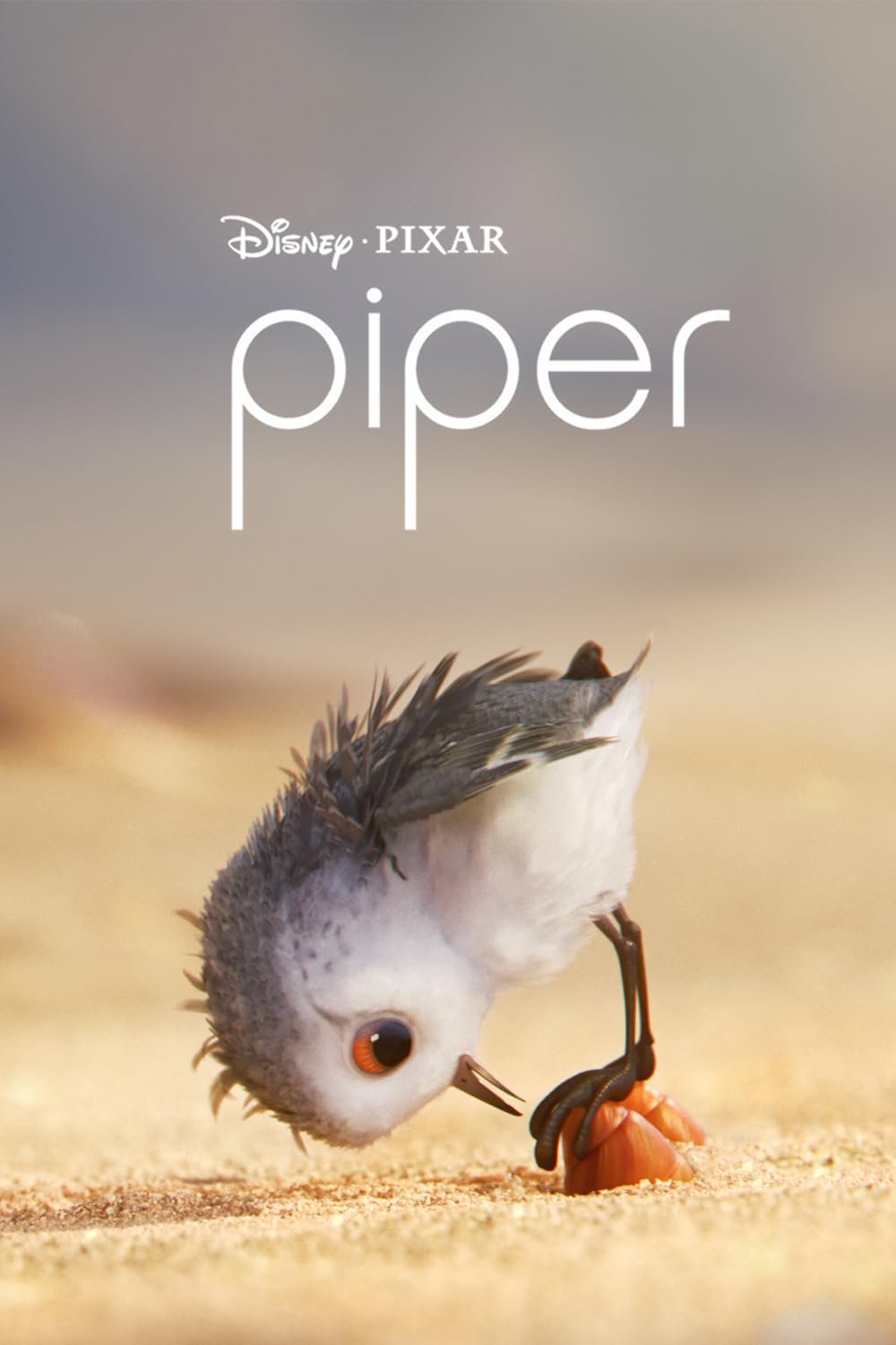 Piper 