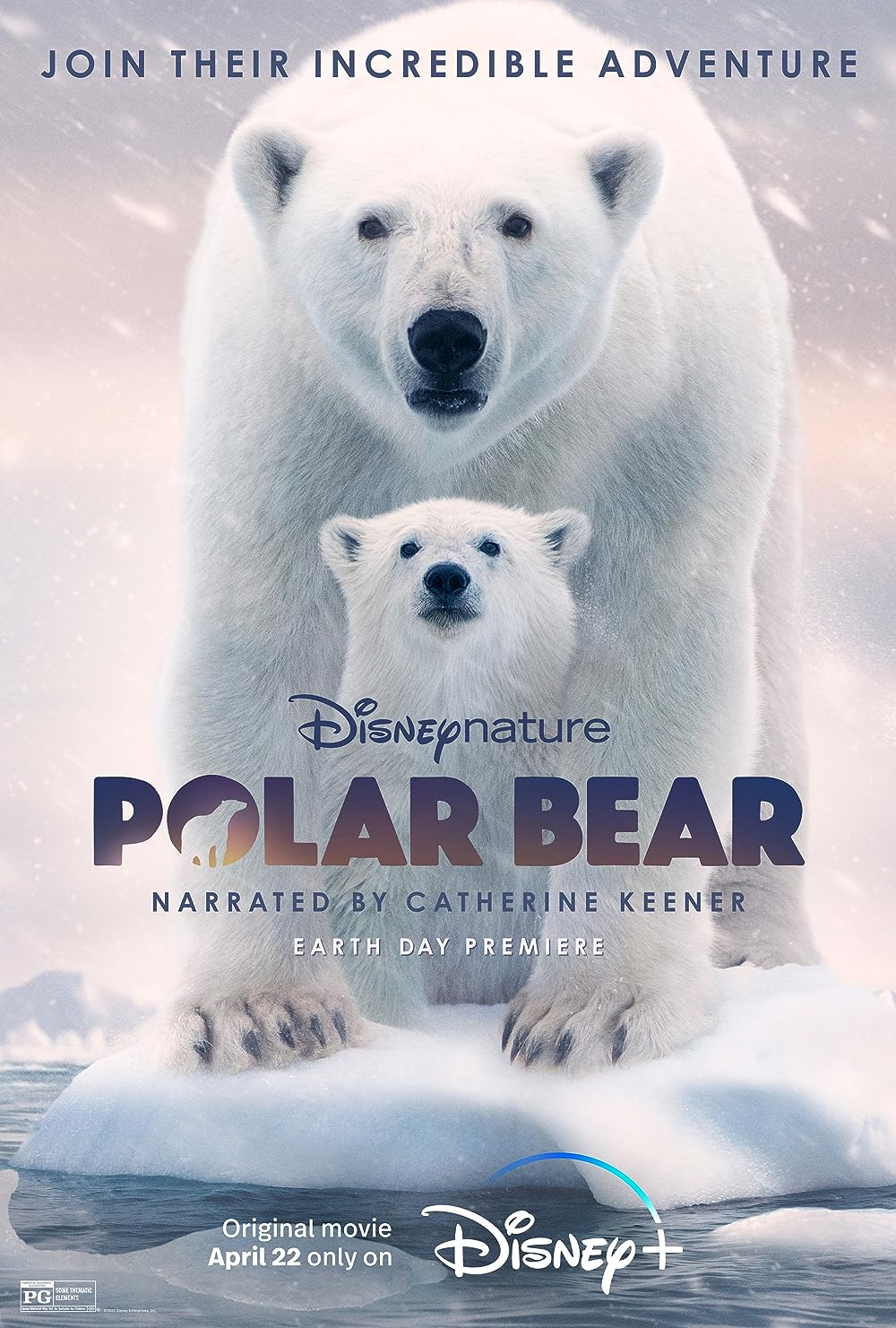 Polar Bear 