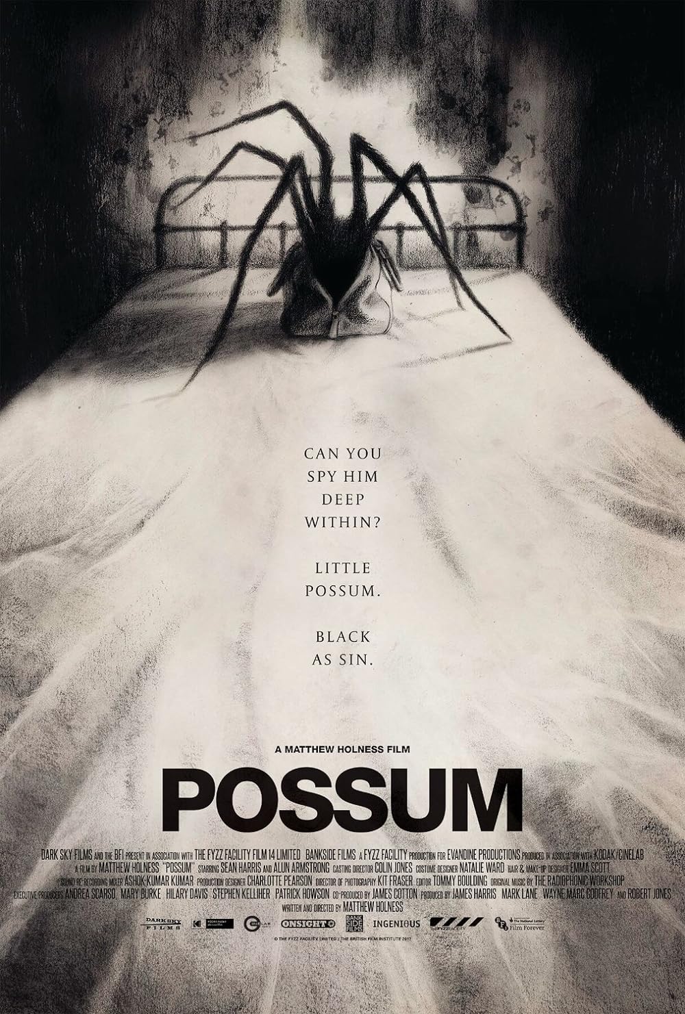 Possum 