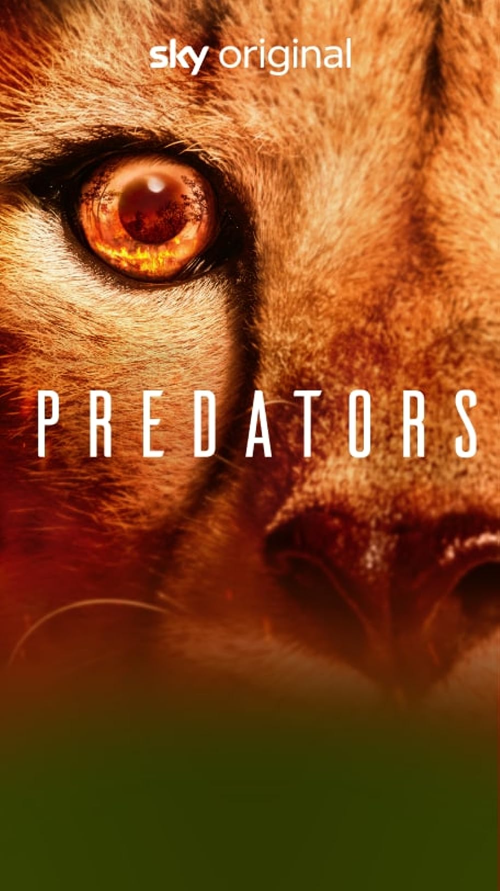 Predators 