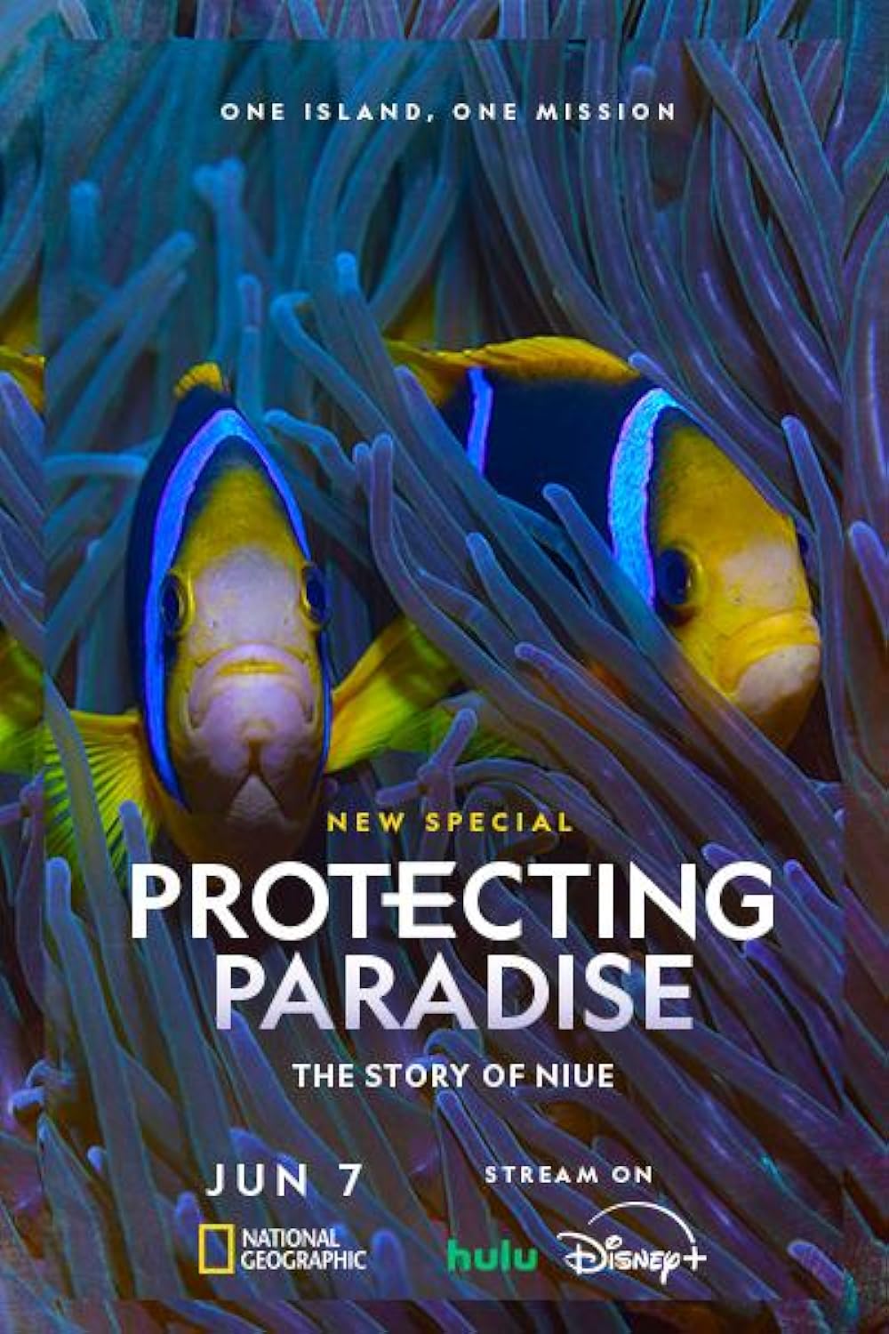 Protecting Paradise: The Story of Niue 