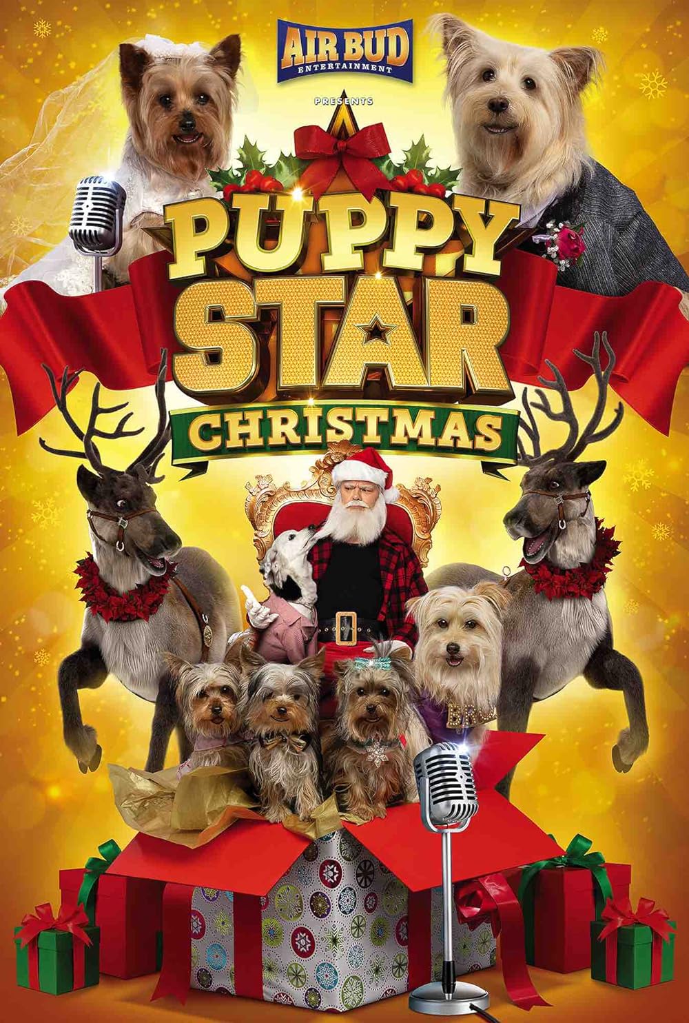 Puppy Star Christmas 