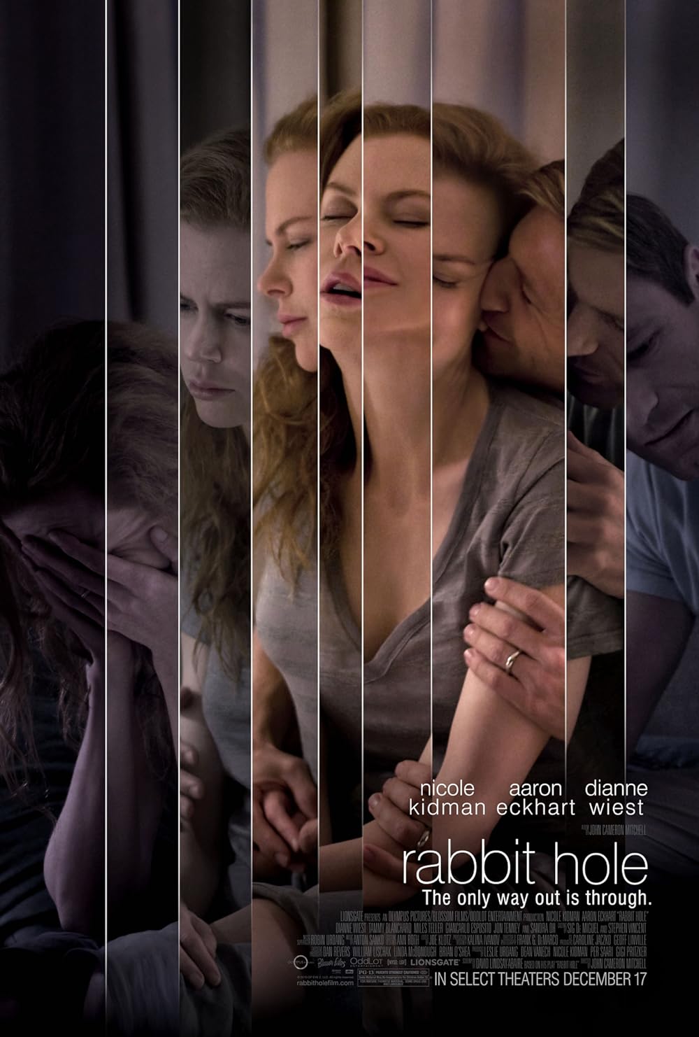 Rabbit Hole 
