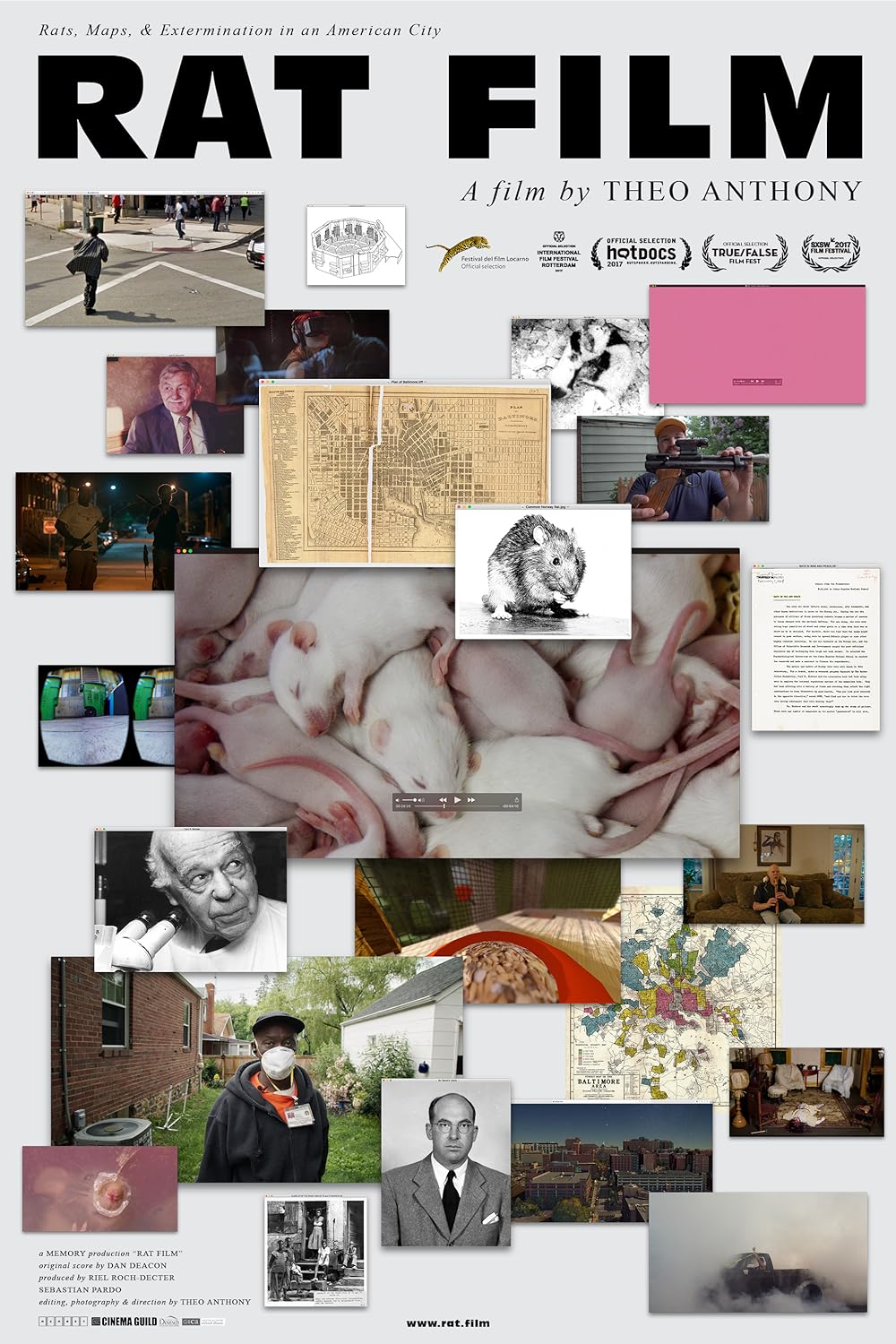 Rat Film 