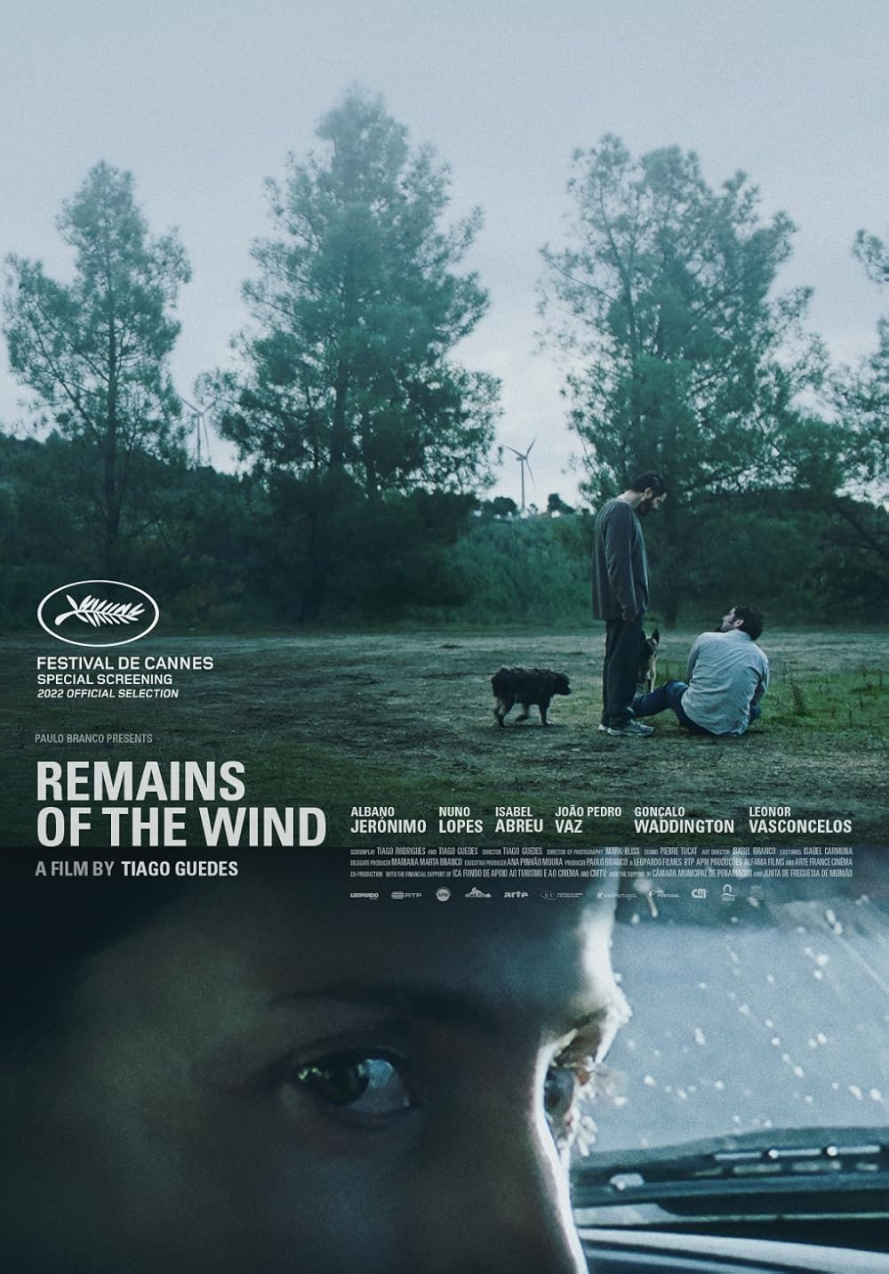 Remains of the Wind 