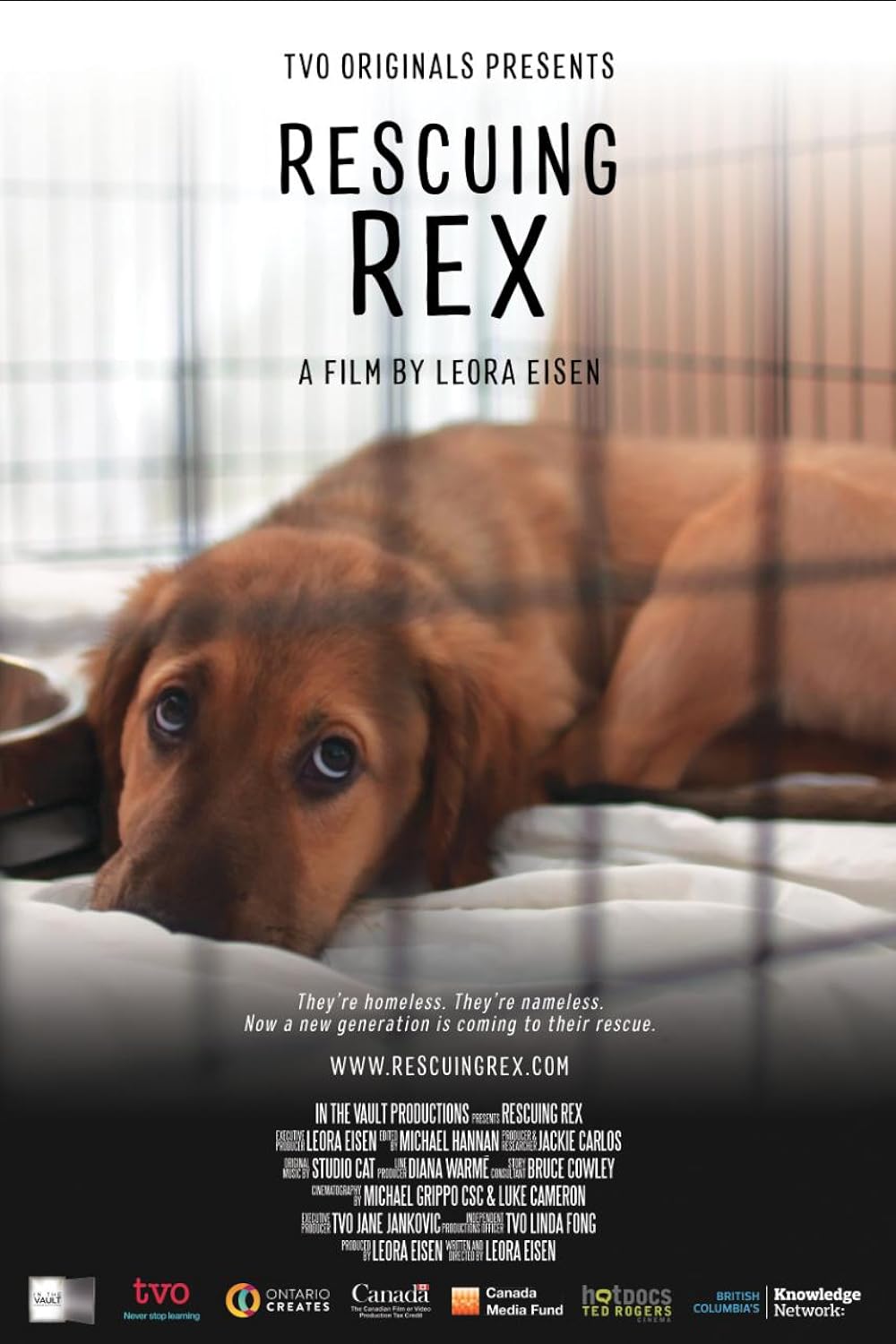 Rescuing Rex 
