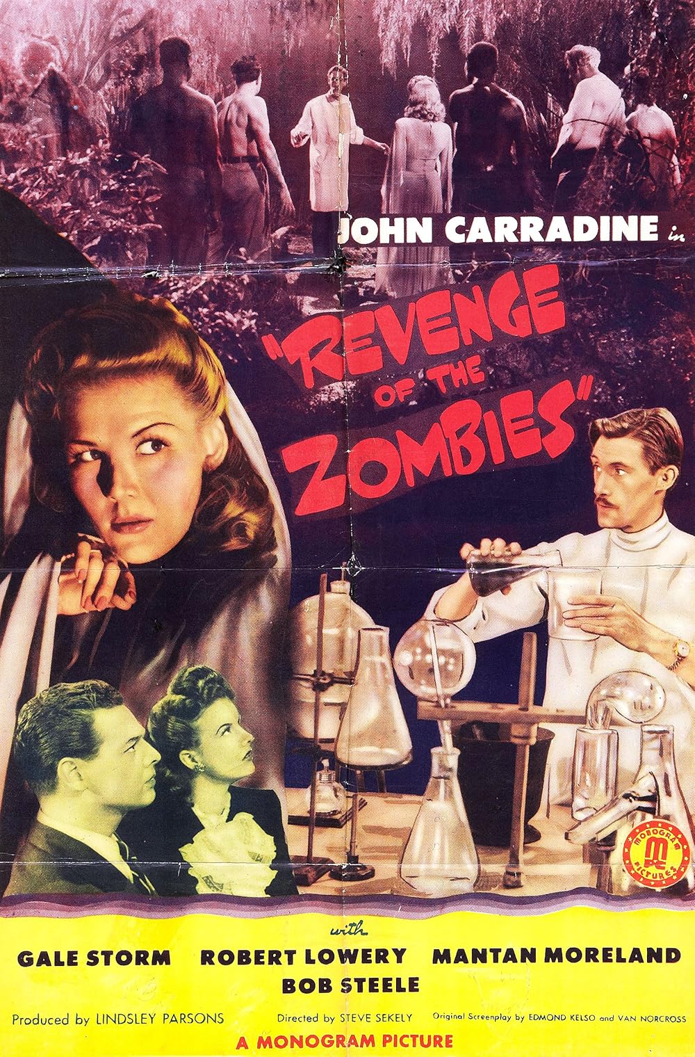 Revenge of the Zombies 