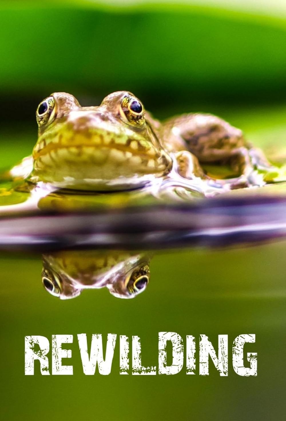 Rewilding 
