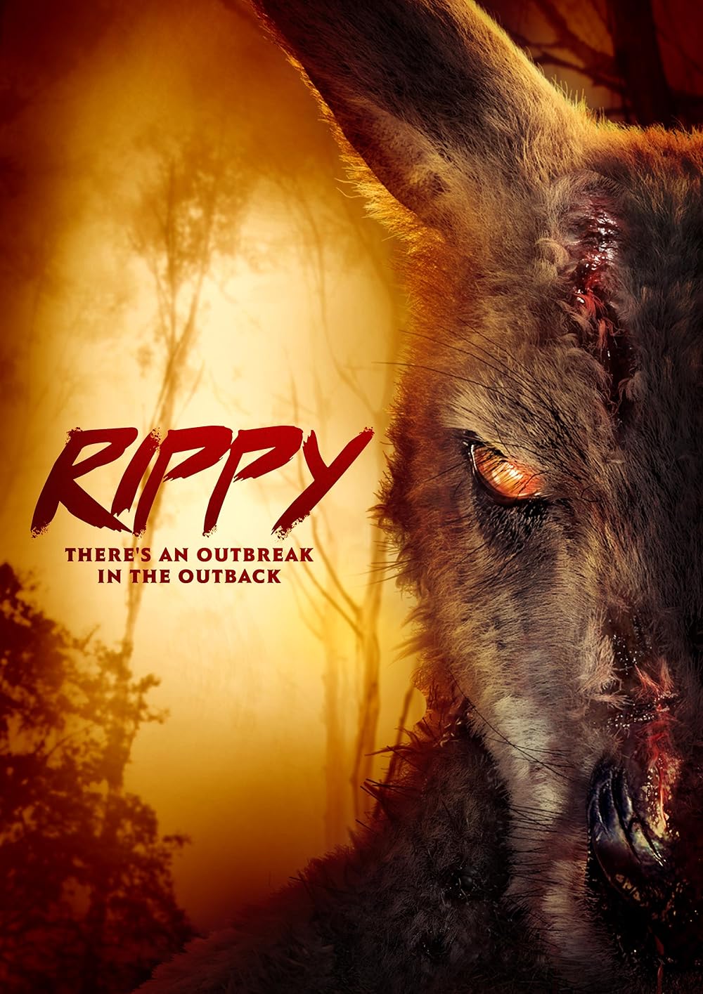Rippy 