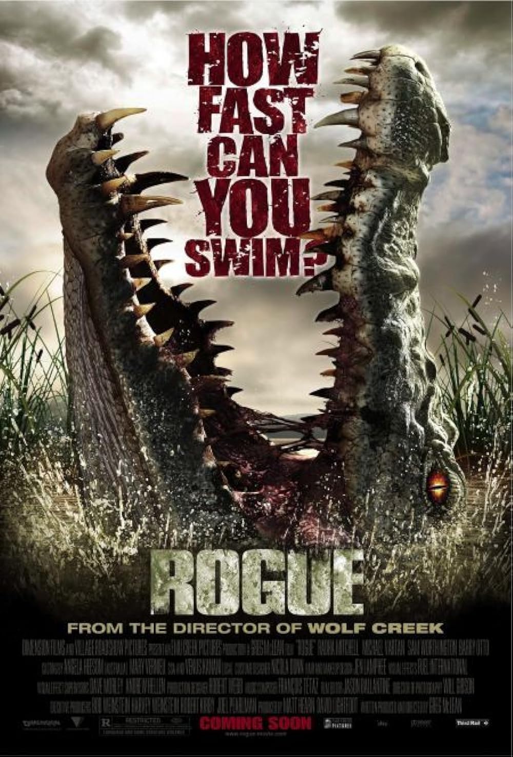 Rogue 