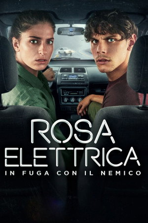 Rosa Elettrica 