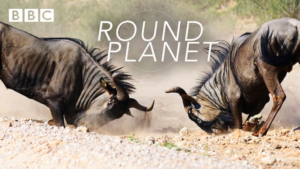 Round Planet 