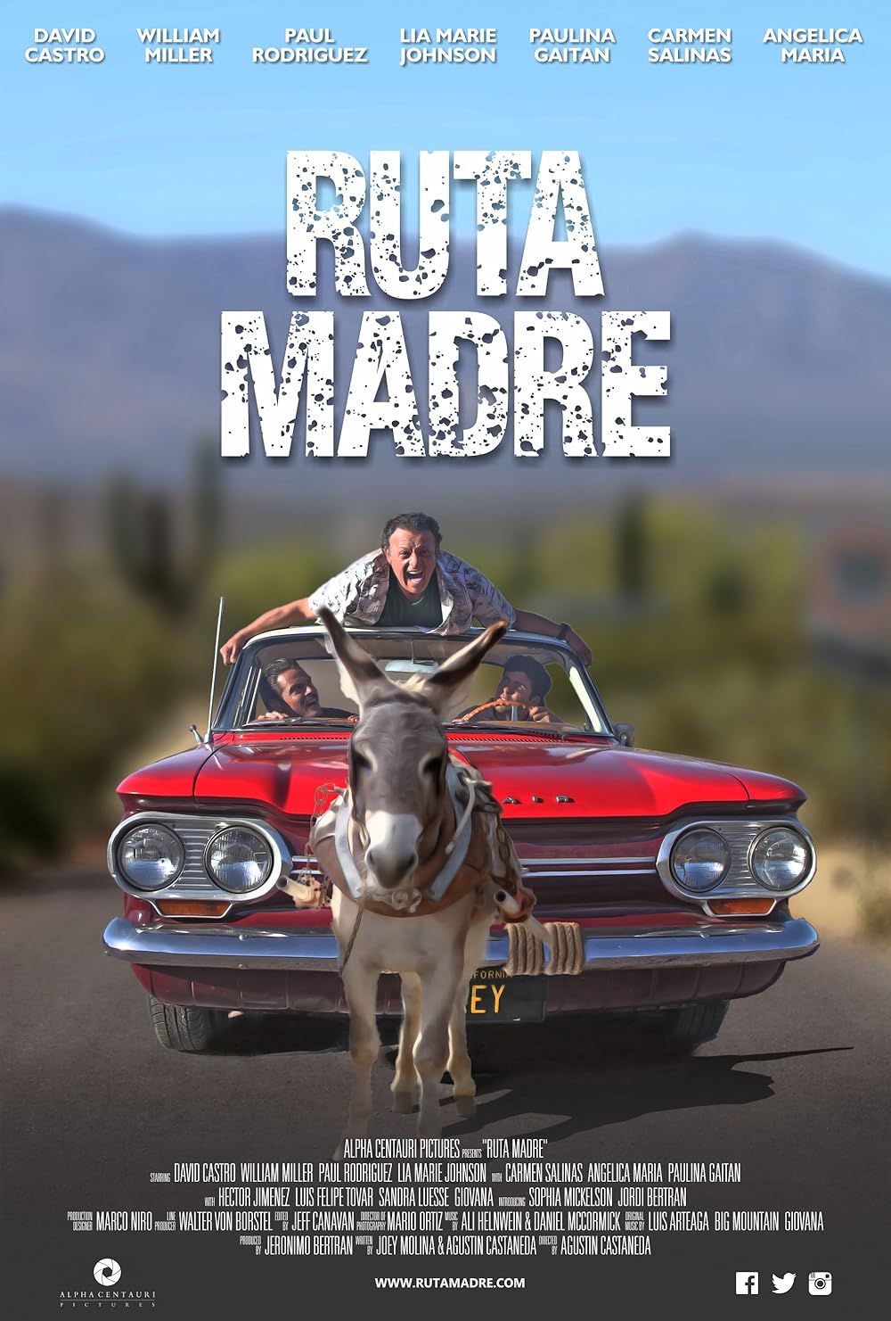 Ruta Madre 