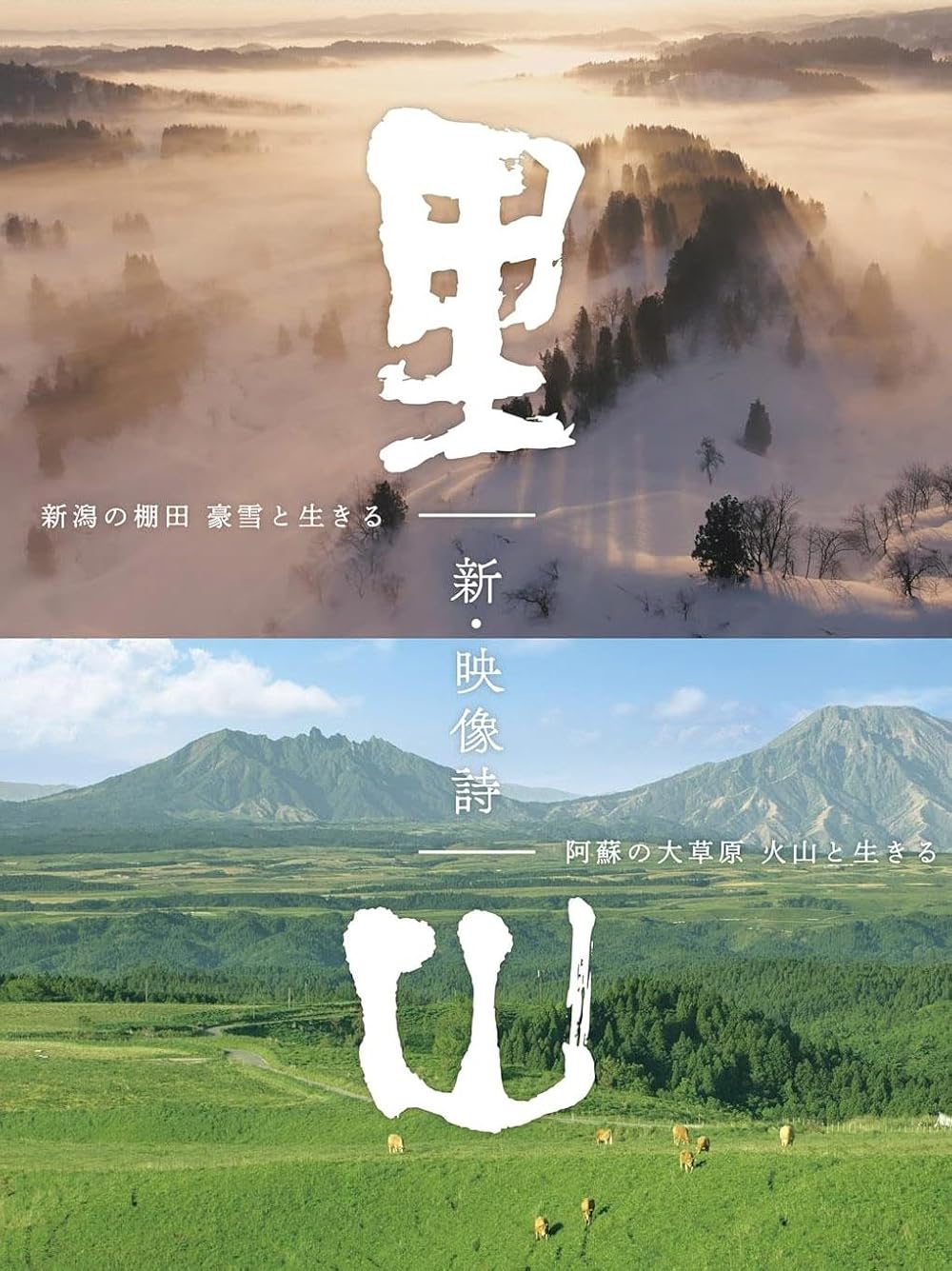 Satoyama 