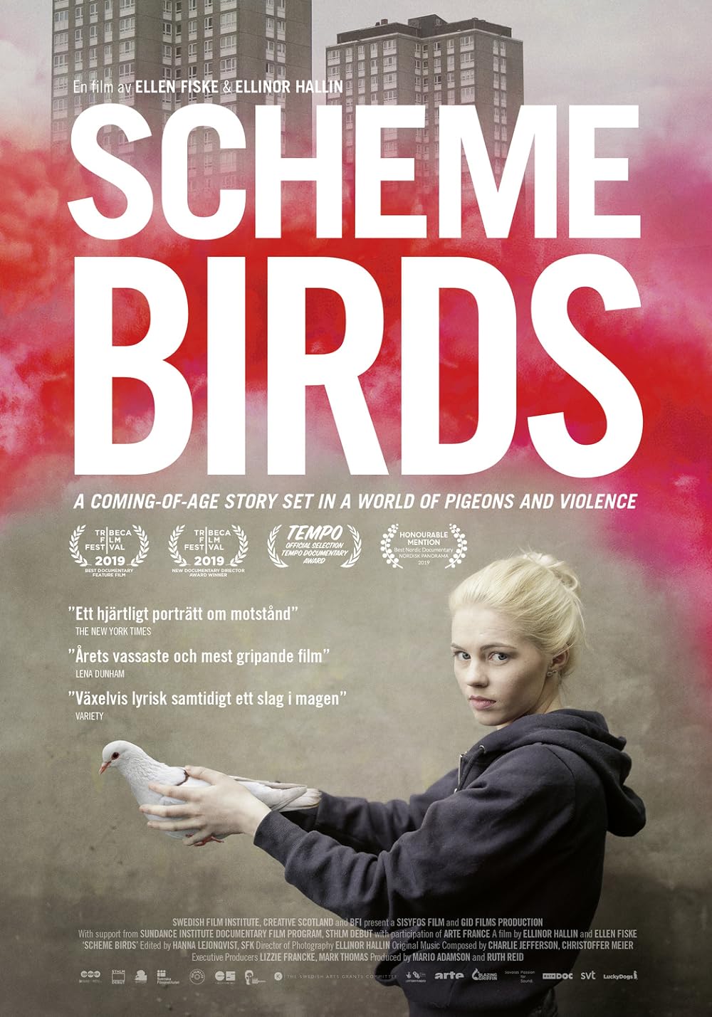 Scheme Birds 