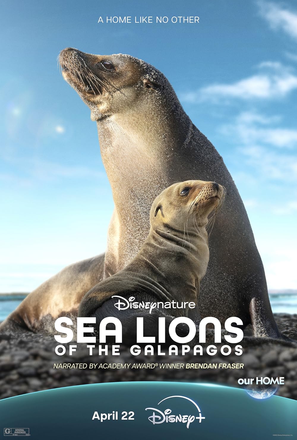 Sea Lions of the Galapagos 