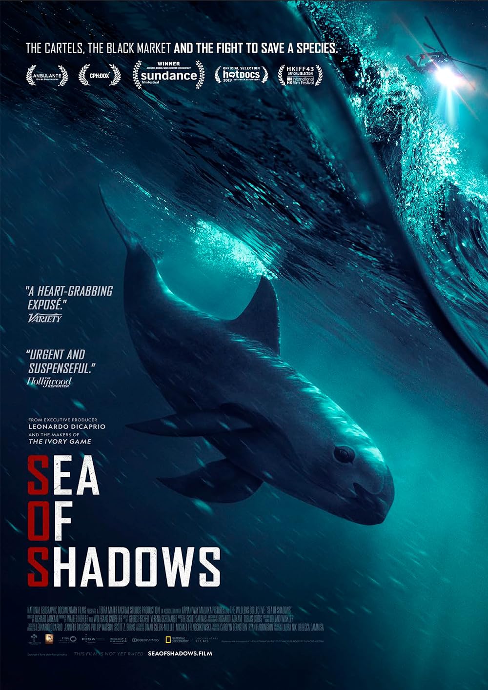 Sea of Shadows 