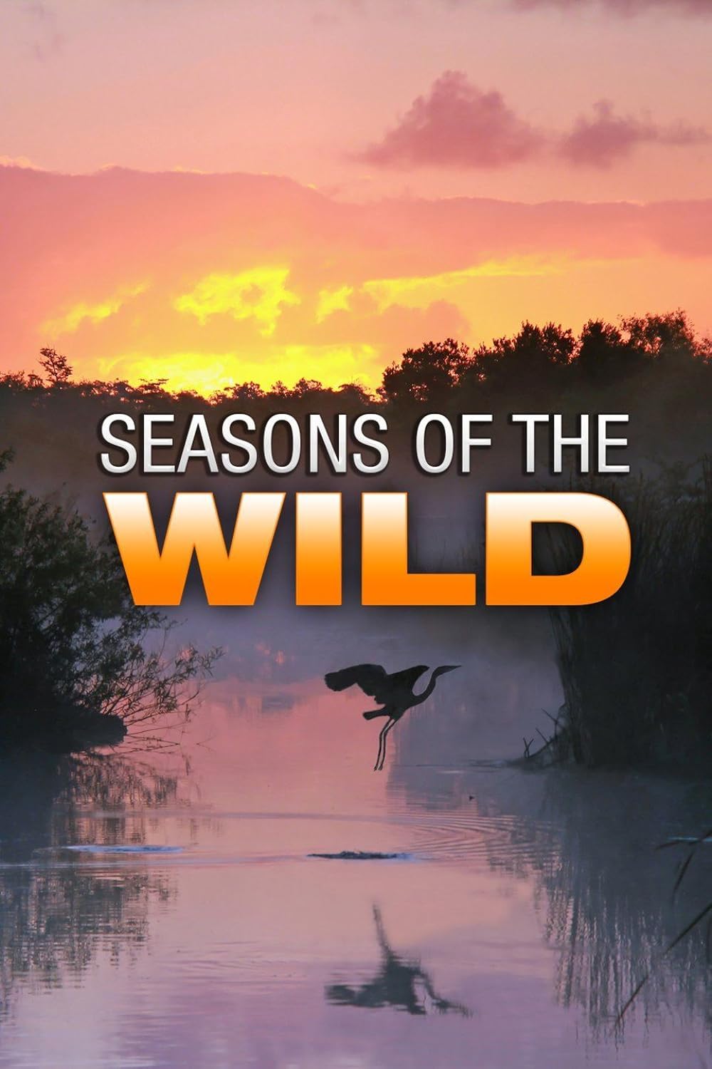 Seasons of the Wild 