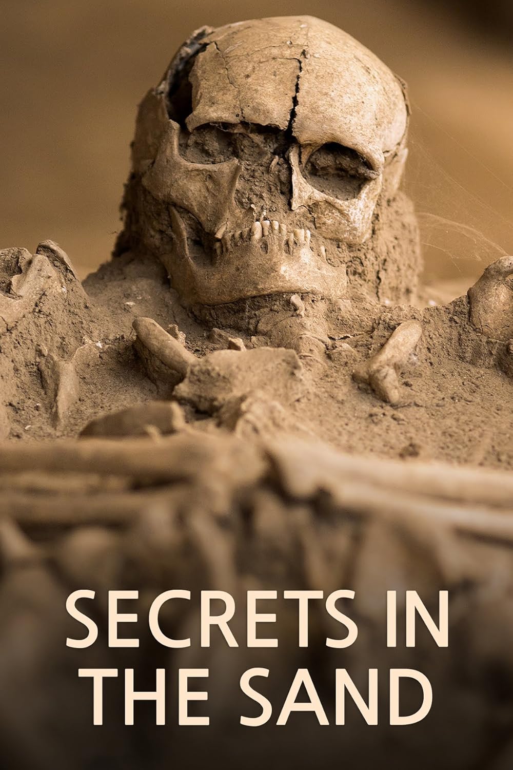 Secrets in the Sand 
