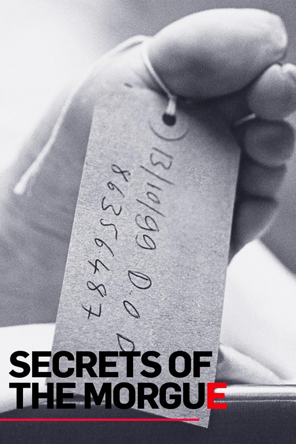 Secrets of the Morgue 