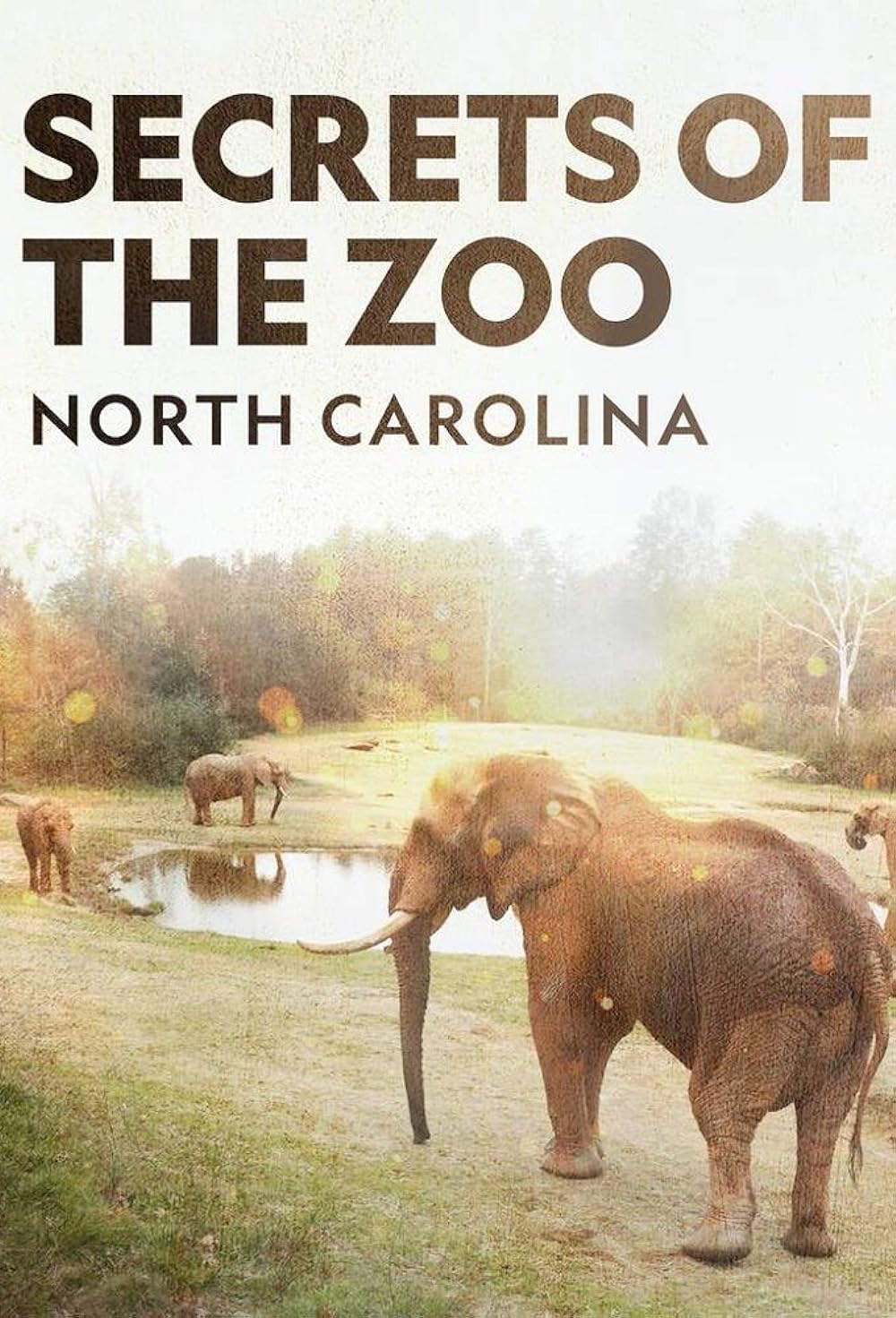 Secrets of the Zoo: North Carolina 