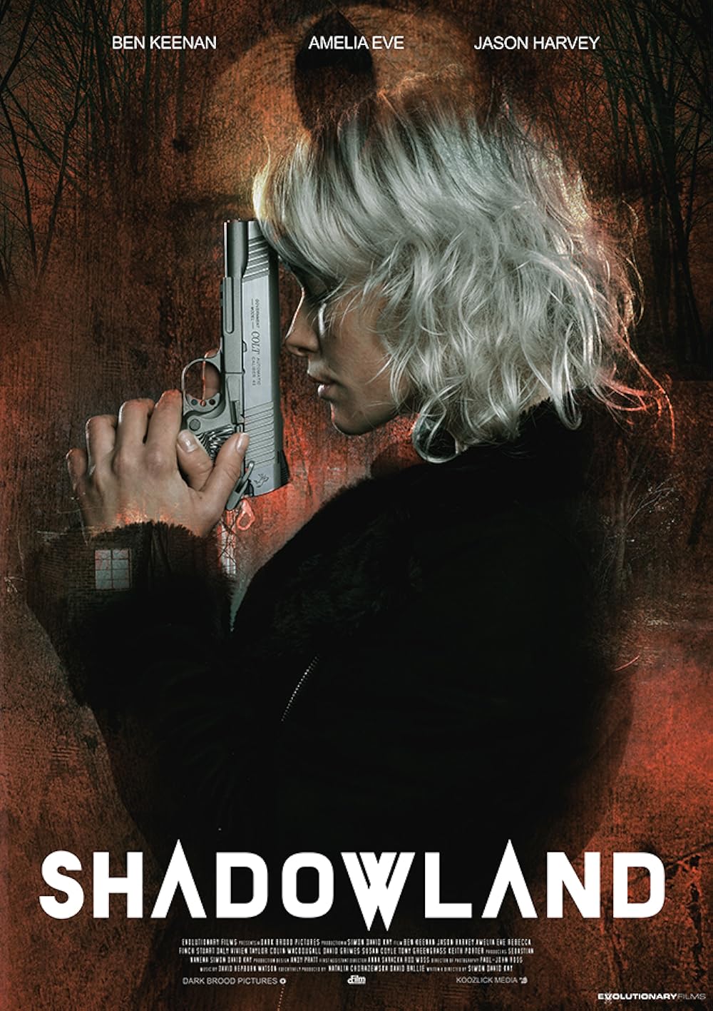 Shadowland 