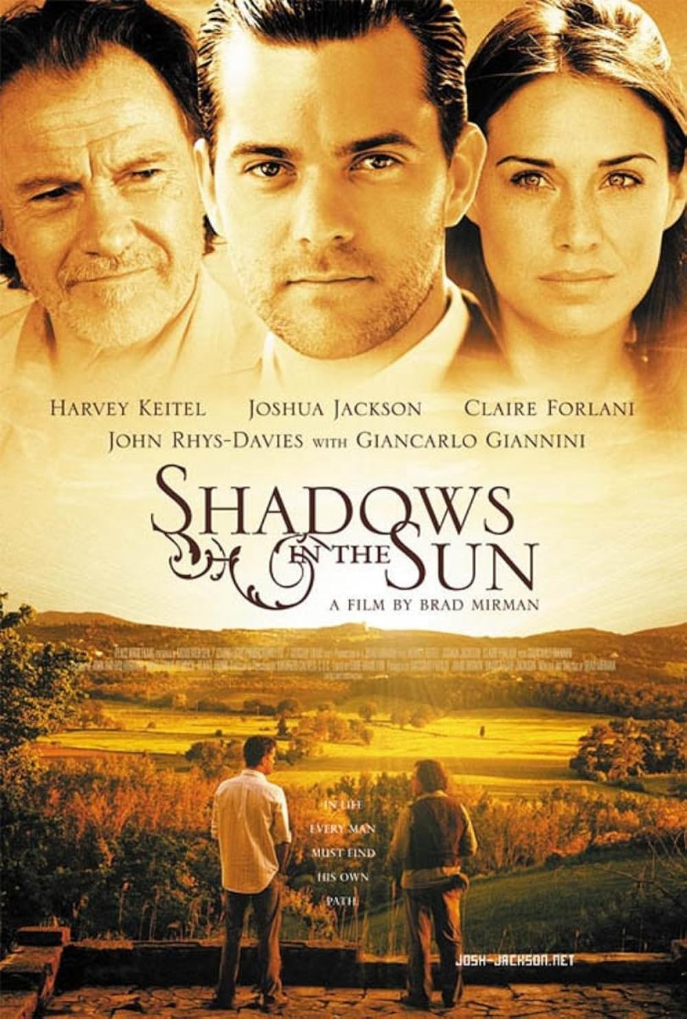 Shadows in the Sun 
