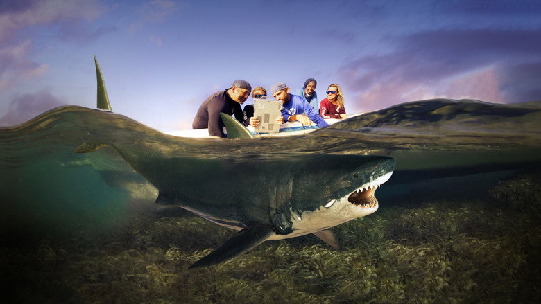 Shark Attack Files (2021)