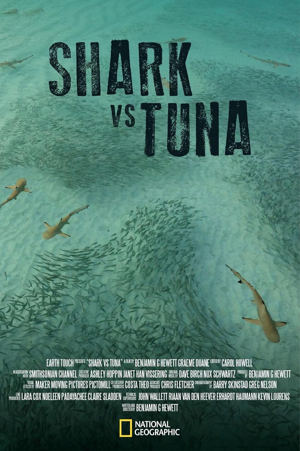 Shark vs Tuna 