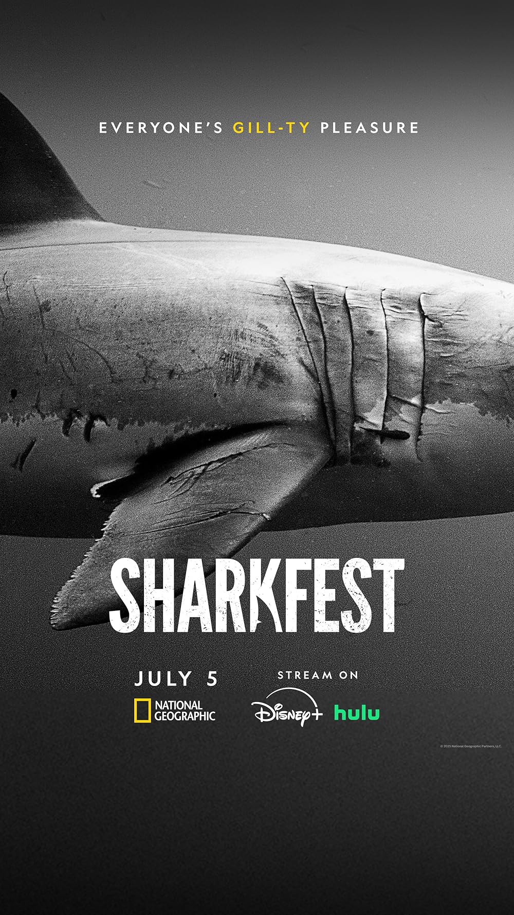 Sharks of the North 
