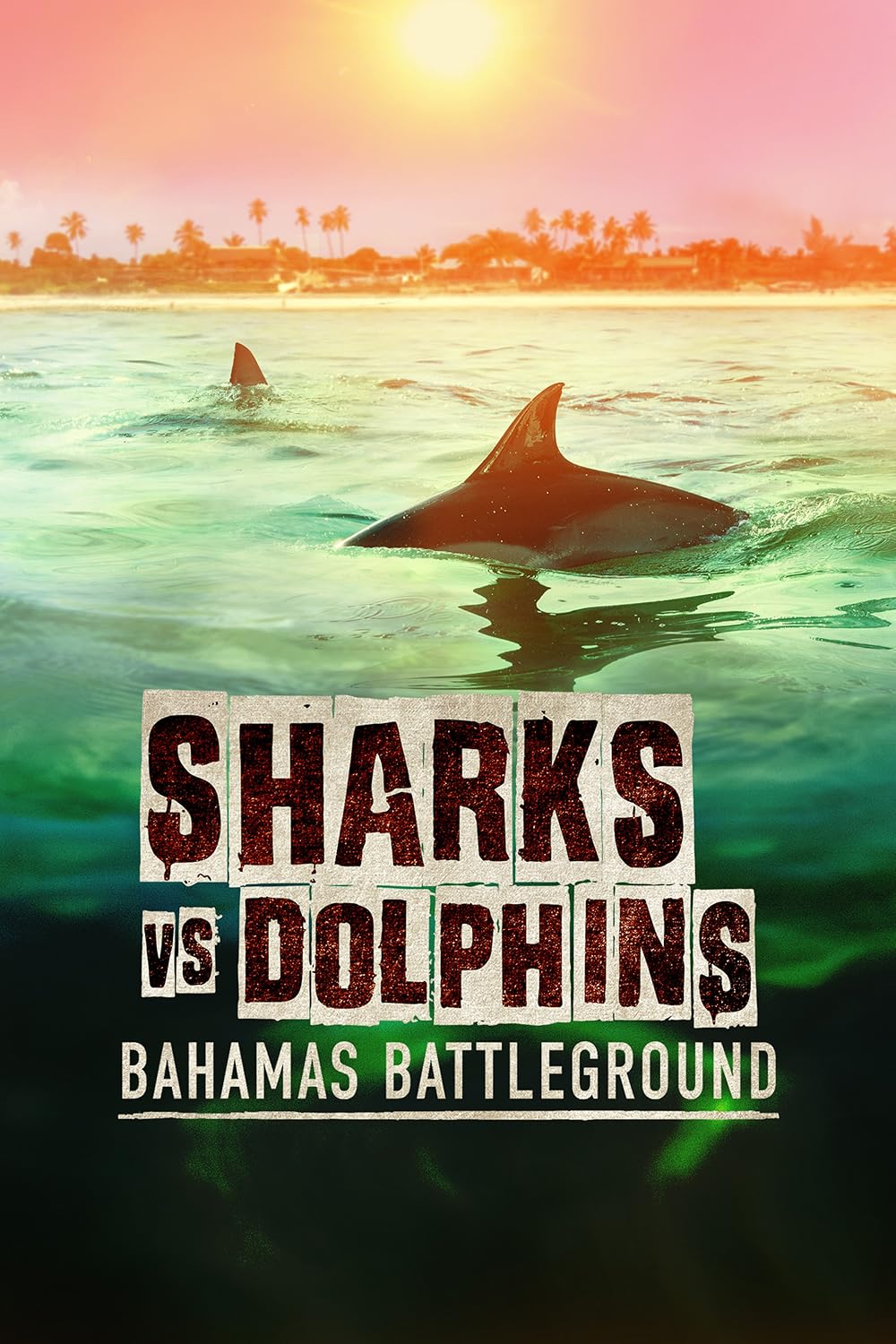 Sharks vs. Dolphins: Bahamas Battleground 