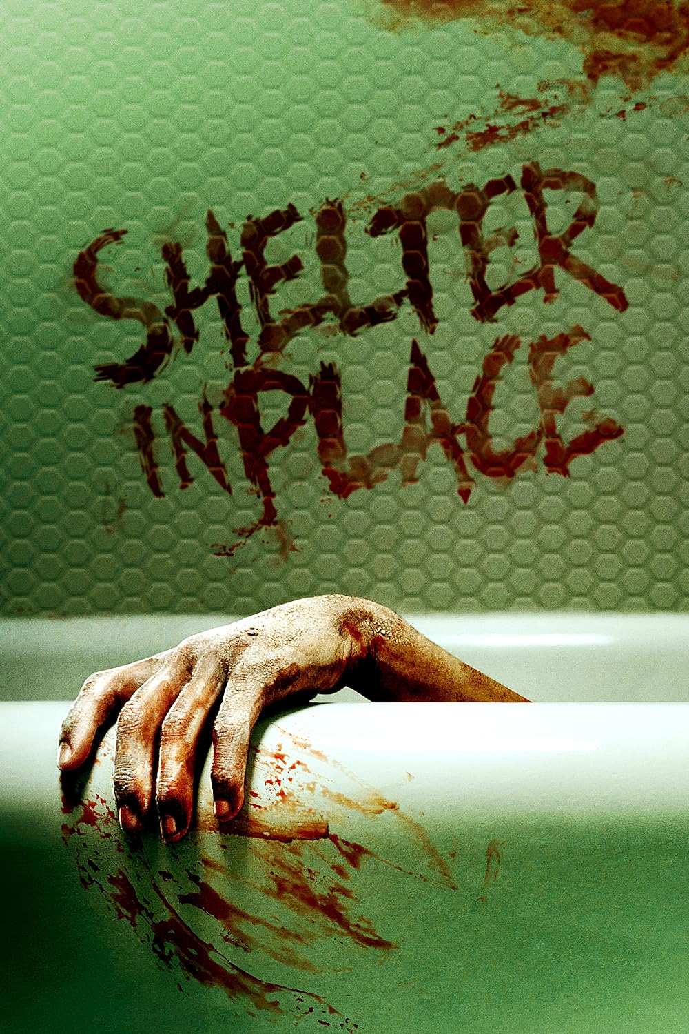 Shelter in Place 