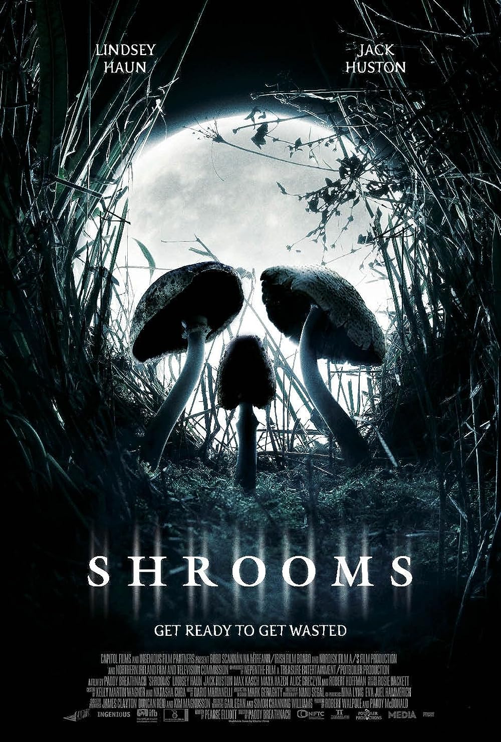 Shrooms 