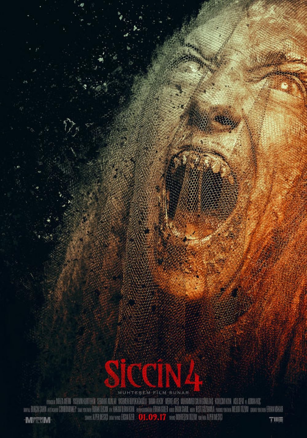 Siccin 4 